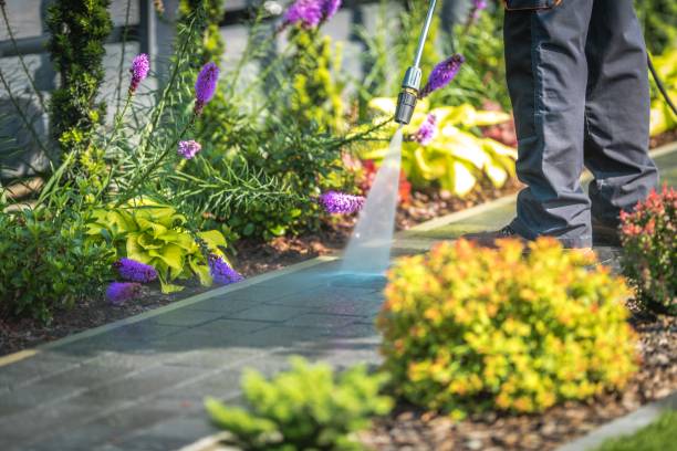 Best Sidewalk and Walkway Cleaning  in Manassas Park, VA